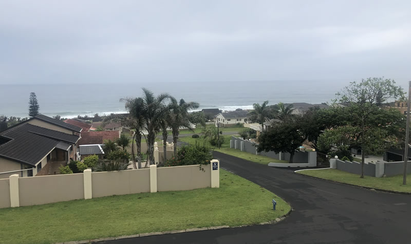 Seagulls View 4