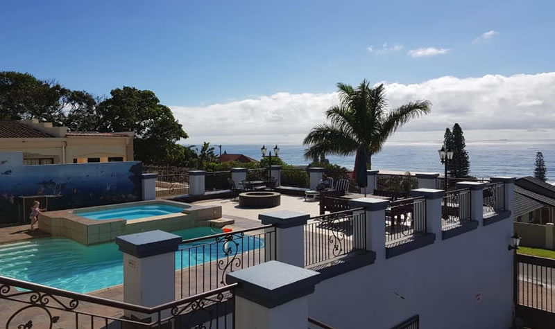 Seagulls View 5